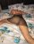 Pendik Kurtköy Escort Bayan Nefes - Image 4 Pendik Kurtköy Escort Bayan Nefes - Image 4