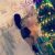 Anadolu Yakası Escort Bayan Lana, Lena ve Klara - Image 5 Anadolu Yakası Escort Bayan Lana, Lena ve Klara - Image 5